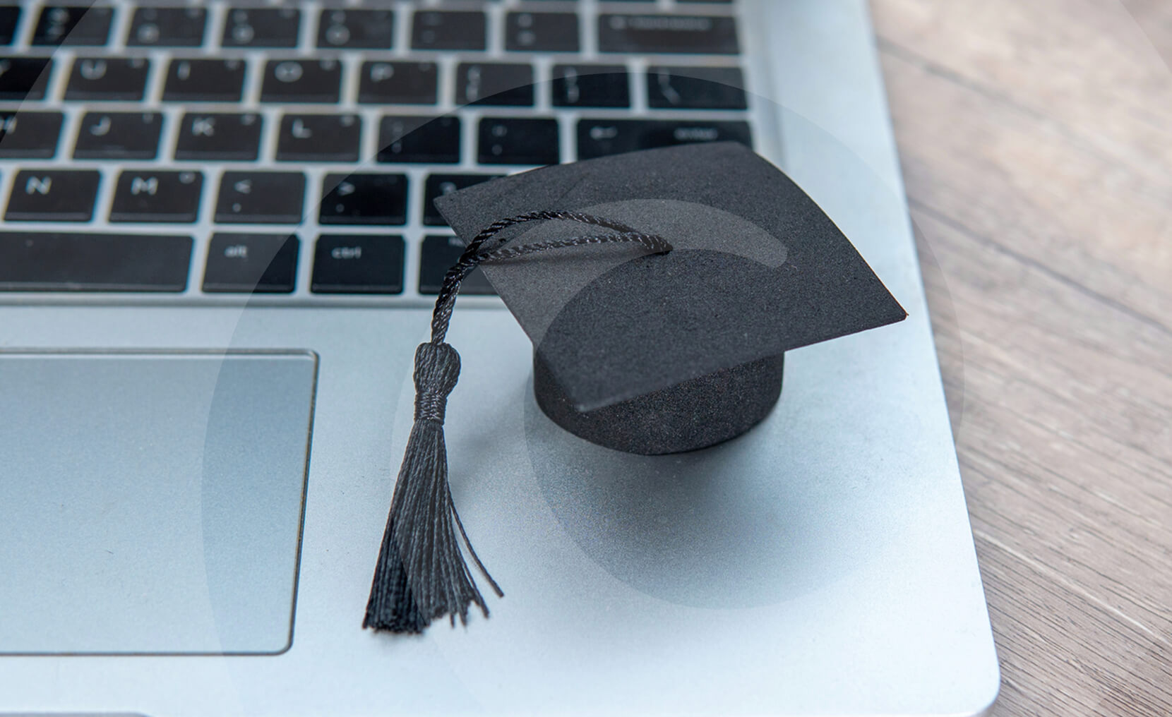 Scholarship link building penalized